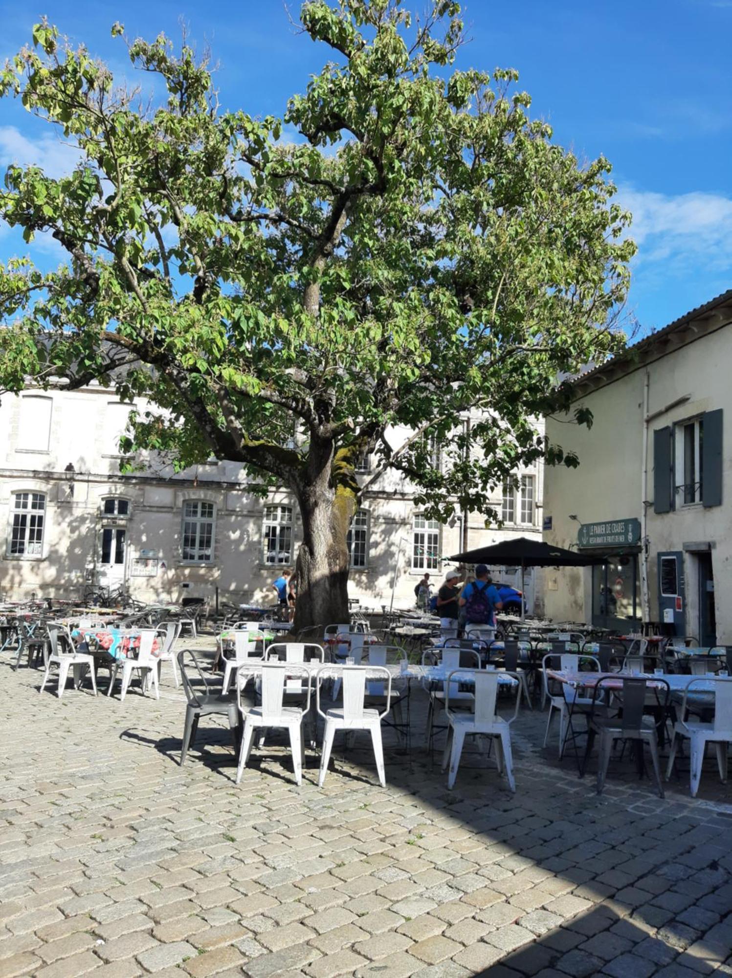Ferienwohnung Comtesse La Rochelle  Exterior foto